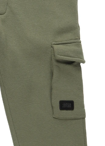 Штани Jack & Jones (316228250)