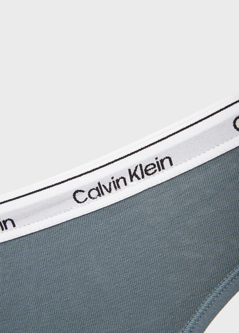 Трусики Calvin Klein (347149652)