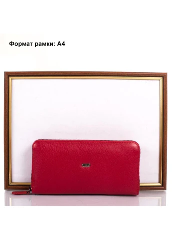 Жіночий шкіряний гаманець 20х10х3 см Desisan (252129496)