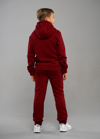 Спортивний костюм утеплений Еліот тринитка з начосом Sinthia (256517073)