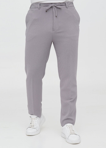 Сірий демісезонний костюм (піджак, штани) брючний Trend Collection