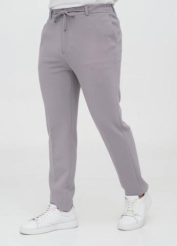 Сірий демісезонний костюм (піджак, штани) брючний Trend Collection