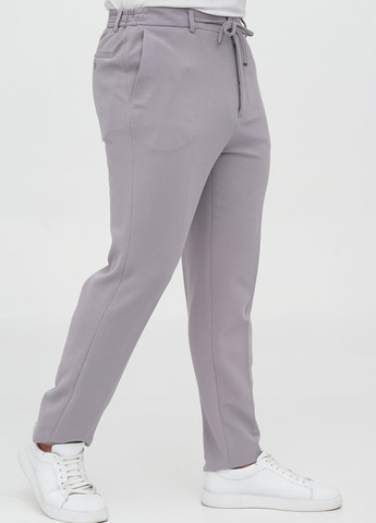 Сірий демісезонний костюм (піджак, штани) брючний Trend Collection