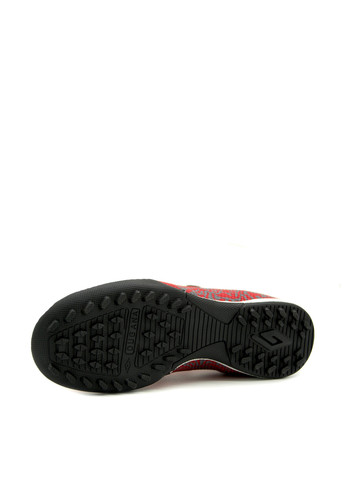 Красные сороконожки Dugana