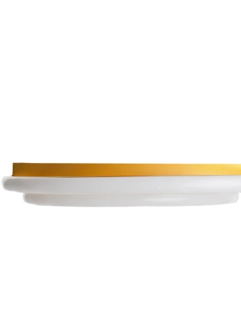 Светильник настенно-потолочный WBL-50C/84W Brille (253893496)