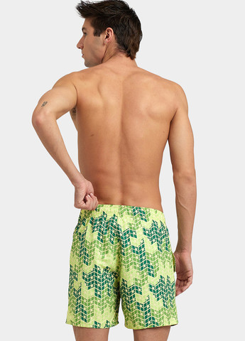 Шорты Arena beach short allover (282406419)