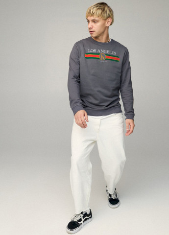 Темно-серый свитшот мужской basic /no flis/ YAPPI (252258938)