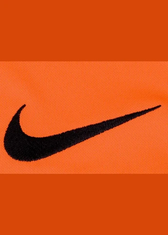 Шорты BV6855-819 Nike Dry Park III (320996897)