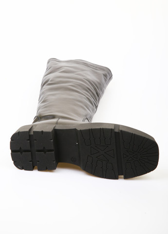 Зимние сапоги Teona