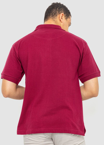 Вишневая футболка-поло для мужчин Ager однотонная