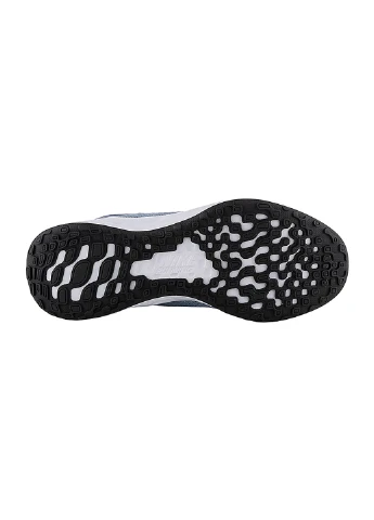 Кросівки W REVOLUTION 6 FLYEASE NN WD Nike блакитні демісезони (254669690)