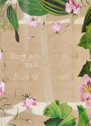 Набір для тіла (лосьйон, міст) Victoria's Secret (325922940)