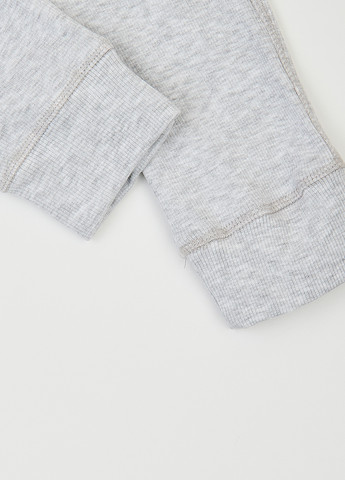 Сірий демісезонний комплект (лонгслів, легінси) Фламинго