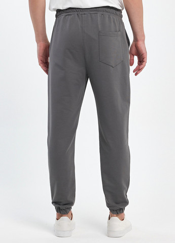Серые кэжуал демисезонные джоггеры брюки Trend Collection