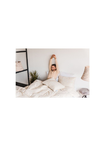 Одеяло пуховое Extra 039 стандарт 200x220 см (2200000001108) Mirson (254079600)