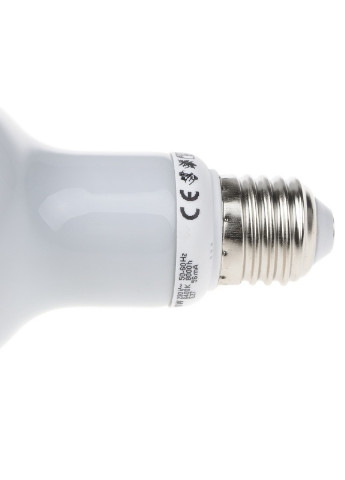 Комплект из двух энергосберегающих ламп PL-3U 13W/865 E27 R63 Br Brille (254802961)