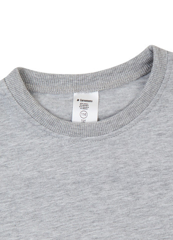 Сіра демісезонна футболка Garnamama