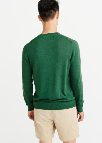 Зелений демісезонний пуловер пуловер Abercrombie & Fitch