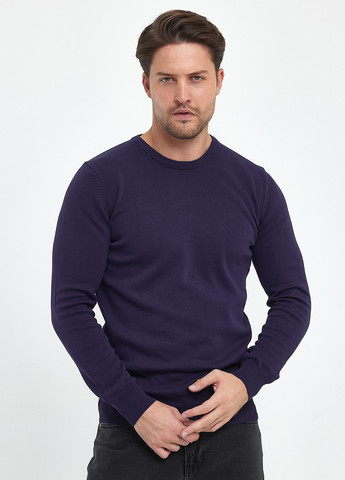Темно-фиолетовый демисезонный свитер джемпер Trend Collection