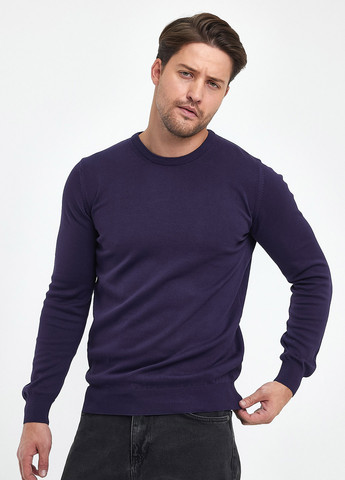 Темно-фіолетовий демісезонний светр джемпер Trend Collection