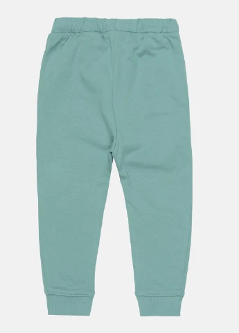 Светло-зеленые кэжуал демисезонные брюки H&M