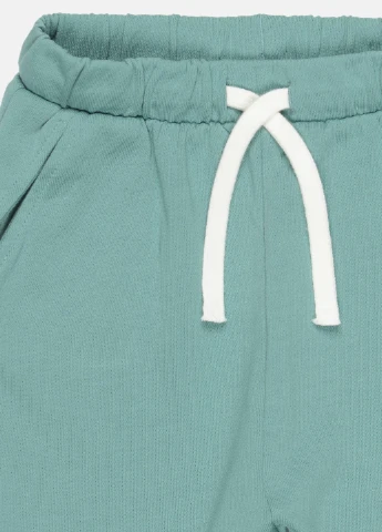 Светло-зеленые кэжуал демисезонные брюки H&M
