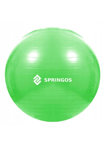 Фитбол 65 см Springos (198875475)
