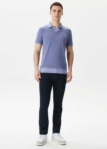 Поло Lacoste (298072931)