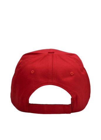 Кепка NikiBo (363640882)