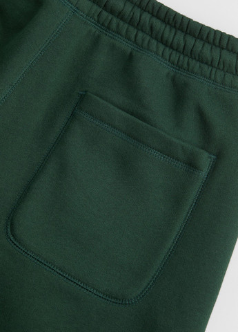 Темно-зеленые спортивные демисезонные джоггеры брюки H&M