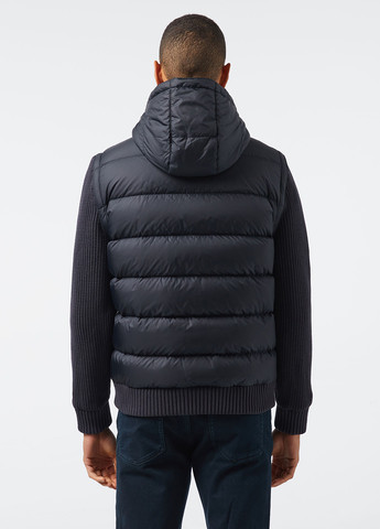 Темно-синий демисезонный Пуховик Lacoste