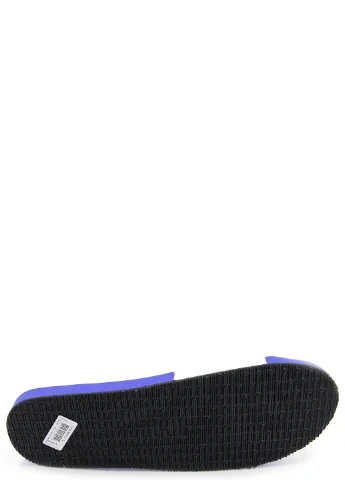 Чоловічі шльопанці Havaianas (252529180)