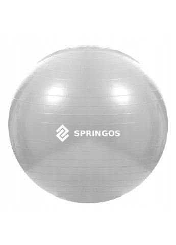 Фитбол 75 см Springos (198875472)