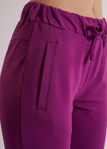 Фиолетовые спортивные демисезонные джоггеры брюки BBL