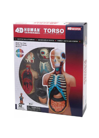 Пазл Об'ємна анатомічна модель Торс людини (FM-626003) 4D Master (249984619)