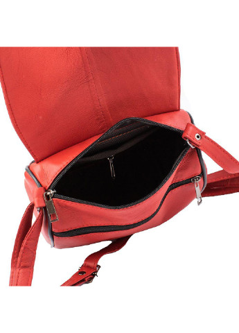 Женская кожаная сумка-почтальонка 20х16х9 см TuNoNa (252129775)