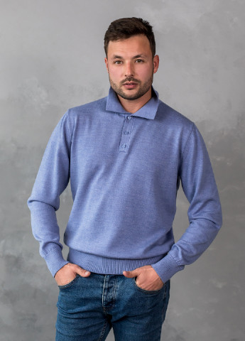 Голубой демисезонный поло мужское пуловер Viviami