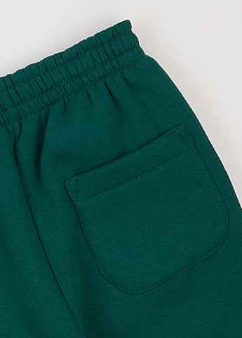 Зеленые спортивные демисезонные джоггеры брюки dexter's