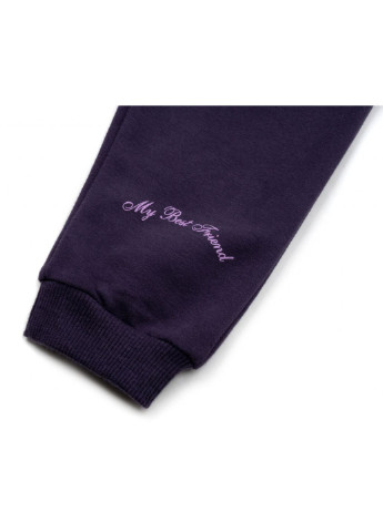 Фіолетовий демісезонний набір дитячого одягу з ведмедиками (16102-98g-purple) Breeze