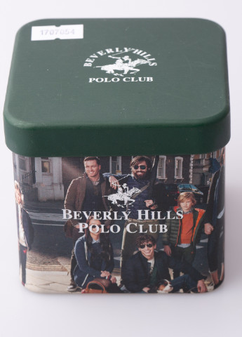 Часы Beverly Hills Polo Club (251769294)