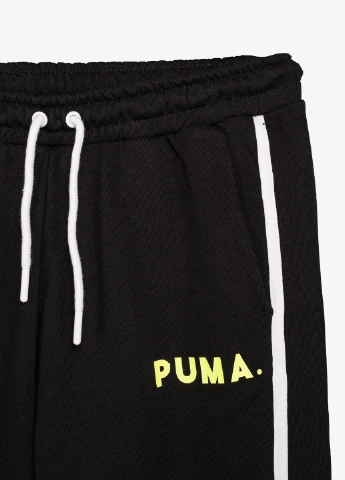 Брюки Puma (256521253)
