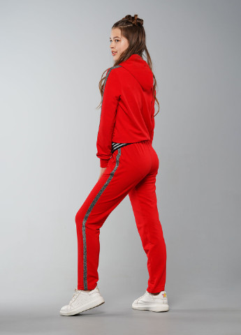 Красный демисезонный спортивный костюм однотонный Sinthia (192445525)
