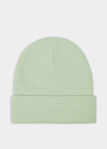 Шапка Dickies (329047535)