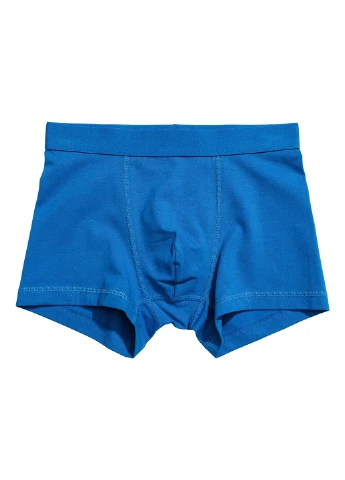 Труси (3 шт.) H&M (199421259)