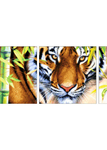 Набір для вишивання бісером Далекосхідний тигр 98х30 см Александра Токарева (188848226)