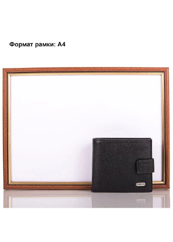 Мужское кожаное портмоне 12х10х1,7 см Canpellini (232989811)