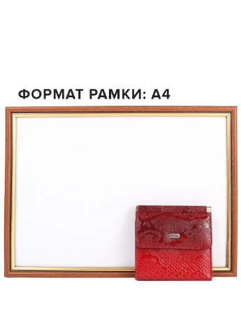 Жіночий шкіряний гаманець 12х10х1,5 см Desisan (195538620)