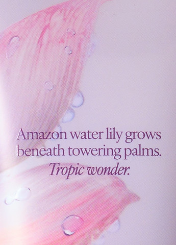 Лосьон Lush Starfruit Lotus, 236 мл Victoria's Secret (327577298)