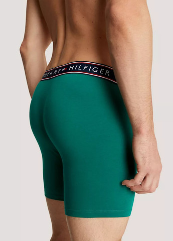 Труси (3 шт.) Tommy Hilfiger (295266591)
