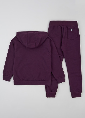 Спортивний костюм (худі, штани) ArDoMi (369625484)